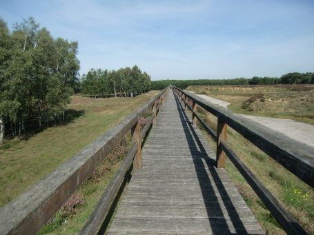 Brüggen : Brachter Wald, Holzbohlenweg ca. 100 m lang